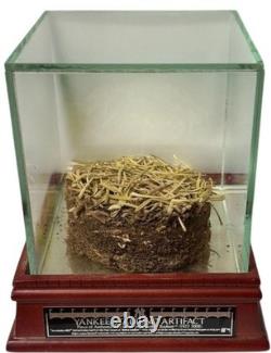 1923-2008 Old Yankee Stadium Used Grass/Sod with Display Case Steiner NEW SEALED