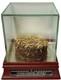 1923-2008 Old Yankee Stadium Used Grass/sod With Display Case Steiner New Sealed