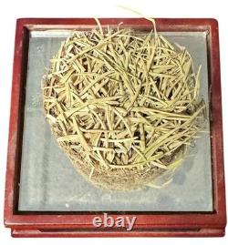 1923-2008 Old Yankee Stadium Used Grass/Sod with Display Case Steiner NEW SEALED
