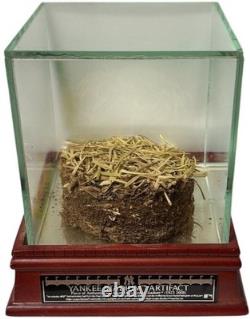 1923-2008 Old Yankee Stadium Used Grass/Sod with Display Case Steiner Sports