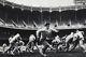 1950's Nfl Football New York Giants Practice Yankee Stadium Team Photo Art 11x14
