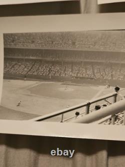 3 1954 New York Yankees Stadium Original Photos Red sox. Ted williams Mantle