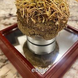 Authentic Old Yankee Stadium Freeze Dried Sod Grass from Steiner Sports & MLB
