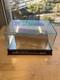 Authentic Yankee Stadium Monument Park Brick Steiner Coa Glass Display Case
