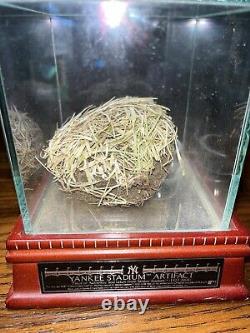 Authentic Yankees Stadium Grass Artifact Old Yankees Stadium 2008 WithCase