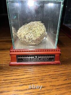 Authentic Yankees Stadium Grass Artifact Old Yankees Stadium 2008 WithCase