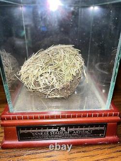 Authentic Yankees Stadium Grass Artifact Old Yankees Stadium 2008 WithCase