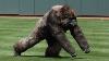 Craziest Animal Interference Moments In Sports History