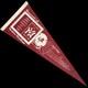 Exc+ Vintage 1969 Mlb Mickey Mantle Day June 8 New York Yankees Stadium Pennant