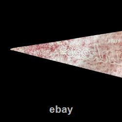 EXC+ Vintage 1969 MLB Mickey Mantle Day June 8 New York Yankees Stadium Pennant