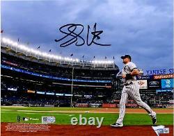 Luke Voit New York Yankees Autographed 8 x 10 Stadium Photograph