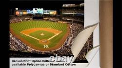 NY New York Yankees Yankee Stadium MLB Baseball Stadium Photo Pr02 CHOICES
