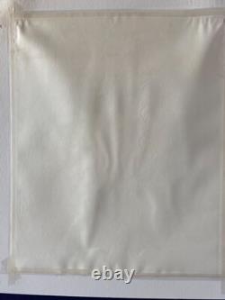 Original New York Yankees Team Photo 14x17 B&W c. 1950s Yankee Stadium Mantle Era