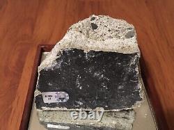 Original Yankee Stadium Centerfield Bleachers The Black With Glass Case And COA