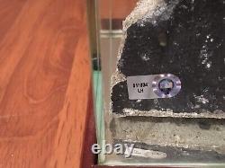 Original Yankee Stadium Centerfield Bleachers The Black With Glass Case And COA