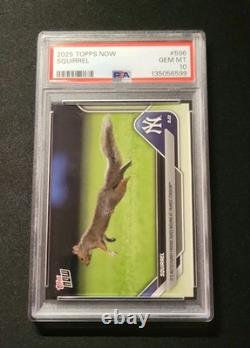 PSA 10 GEM 2025 Topps Now New York Yankee Stadium SQUIRREL #596