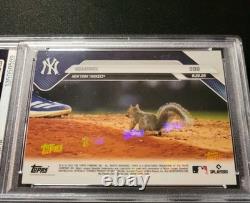 PSA 10 GEM 2025 Topps Now New York Yankee Stadium SQUIRREL #596