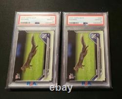 PSA 10 GEM 2025 Topps Now New York Yankee Stadium SQUIRREL #596