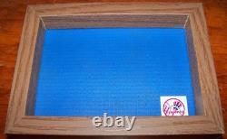 YANKEE STADIUM DUGOUT PAD DISPLAY Ruth Mantle DiMaggio Jeter Maris Judge Yogi