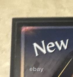 Yankees Stadium 1923-2008 Foul Pole Mesh Plaque / Steiner Certified Read